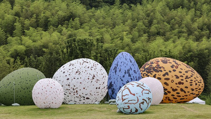 Qingshan_Village_Blending_Tradition_and_Innovation_for_Sustainable_Prosperity_poster - Khabar Asia Qingshan Village: Blending Tradition and Innovation for Sustainable Prosperity video poster