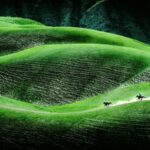 Qiongkushitai: Discovering Xinjiang's Hidden Paradise of Nomadic Culture video poster