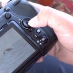 Rare Sighting: Over 10 Yangtze Finless Porpoises Spotted in Eastern China