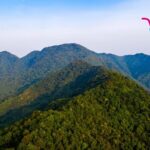 Rare Wildlife Flourishes in Hainan's Bawangling Rainforest