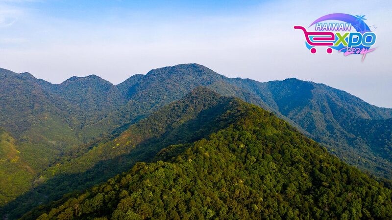 Rare Wildlife Flourishes in Hainan's Bawangling Rainforest