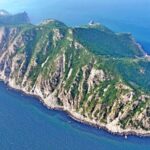 Record_11_175_Raptors_Spotted_in_a_Single_Day_at_NE_China_s_Nature_Reserve