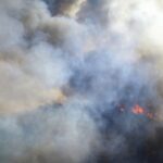 Record_Wildfires_Fueled_Massive_CO2_Emissions_in_2023_2024__New_Study_Reveals