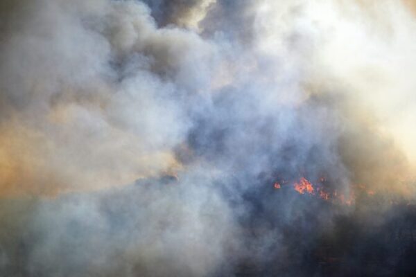 Record_Wildfires_Fueled_Massive_CO2_Emissions_in_2023_2024__New_Study_Reveals