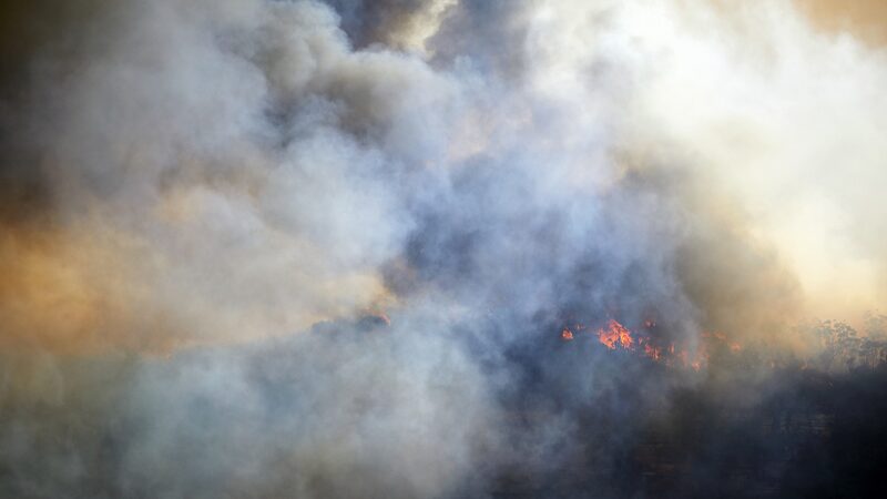 Record_Wildfires_Fueled_Massive_CO2_Emissions_in_2023_2024__New_Study_Reveals - Khabar Asia Record_Wildfires_Fueled_Massive_CO2_Emissions_in_2023_2024__New_Study_Reveals