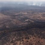 Record Wildfires in Northern Brazil Threaten Yanomami People and Amazon Rainforest