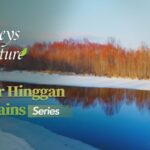 Red Willows Illuminate Winter in China's Greater Hinggan Mountains video poster