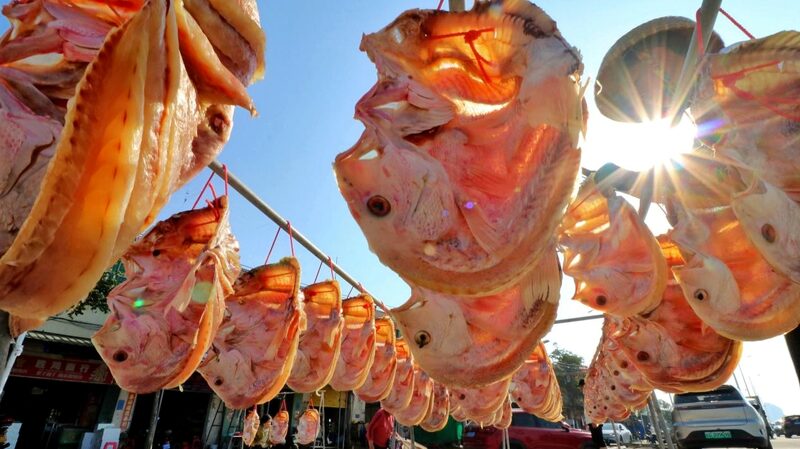 Redfish__Hainan_s_Essential_Delicacy_for_the_Spring_Festival - Khabar Asia Redfish__Hainan_s_Essential_Delicacy_for_the_Spring_Festival