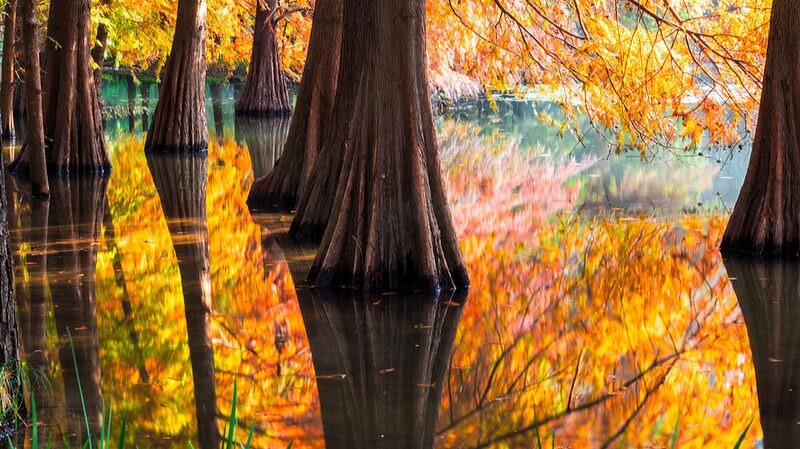 Reflections_Transform_Nanjing_s_Xiaoling_Mausoleum_into_a_Living_Monet_Masterpiece - Khabar Asia Reflections_Transform_Nanjing_s_Xiaoling_Mausoleum_into_a_Living_Monet_Masterpiece