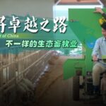 Renewable Energy and Eco-Farming Transform Gonghe, Qinghai video poster