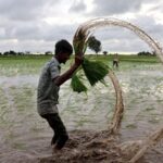 Report_Warns_Global_Water_Crisis_May_Halve_Food_Production_by_2050