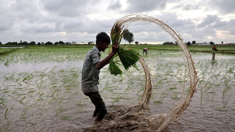 Report_Warns_Global_Water_Crisis_May_Halve_Food_Production_by_2050 - Khabar Asia Report_Warns_Global_Water_Crisis_May_Halve_Food_Production_by_2050