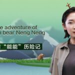 Rescued Brown Bear Cub Neng Neng Returns to the Wild video poster