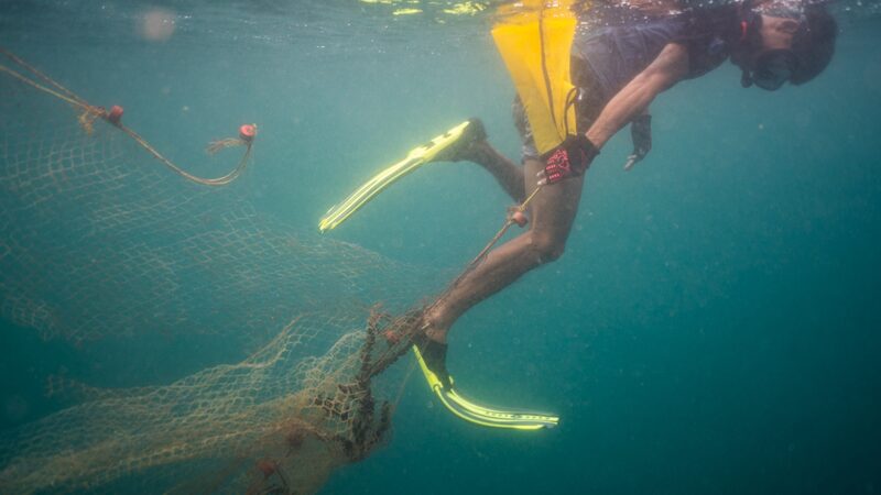 Rescuing the Reef: Clearing Ghost Nets in Myanmar's Mergui Archipelago video poster