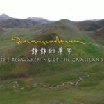 Restoring Qinghai's Grasslands: Tibetan Herders Unite to Revive the Plateau video poster