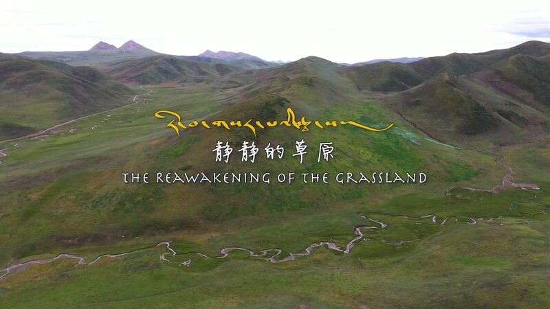 Restoring_Qinghais_Grasslands_Tibetan_Herders_Unite_to_Revive_the_Plateau_poster - Khabar Asia Restoring Qinghai's Grasslands: Tibetan Herders Unite to Revive the Plateau video poster