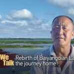 Return to Baiyangdian: A Family's Homecoming Amid Lake's Revival video poster