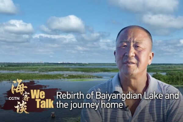 Return to Baiyangdian: A Family’s Homecoming Amid Lake’s Revival Return to Baiyangdian: A Family's Homecoming Amid Lake's Revival video poster