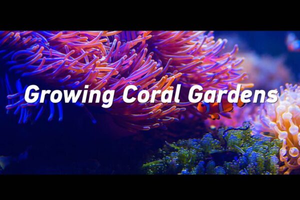 Reviving Coral Gardens: Chinese Scientists' Decade-Long Mission in South China Sea video poster