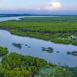 Reviving Hainan's Mangroves: A Conservation Success Story video poster