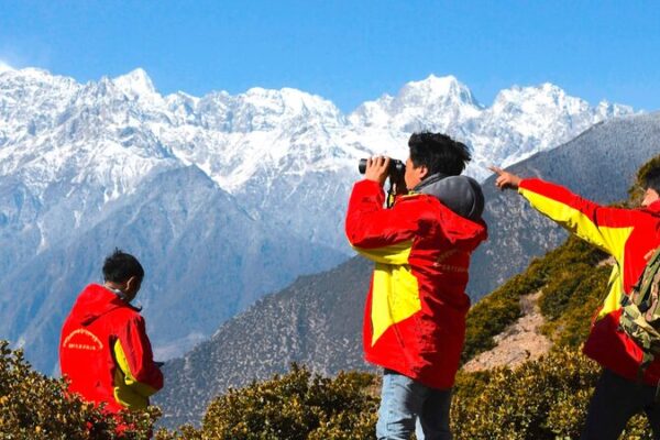 Reviving Xizang's Wildlife: Ecological Guardians Lead Biodiversity Boom