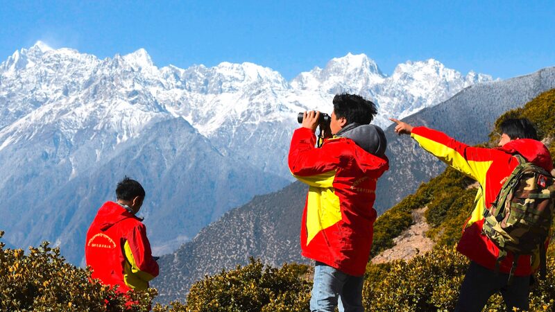 Reviving Xizang's Wildlife: Ecological Guardians Lead Biodiversity Boom