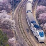 Ride the 'Trains to Spring': China's Scenic Railway Journeys in Bloom