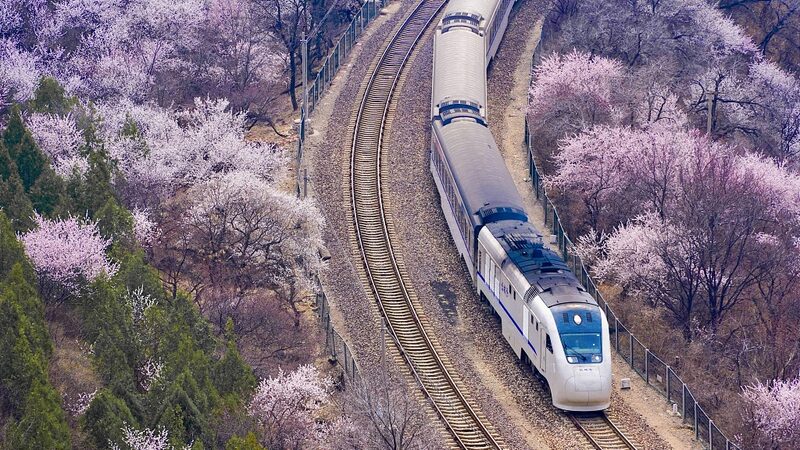 Ride_the_Trains_to_Spring_Chinas_Scenic_Railway_Journeys_in_Bloom - Khabar Asia Ride the 'Trains to Spring': China's Scenic Railway Journeys in Bloom