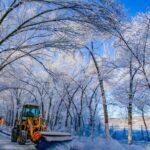 Rime Adorns Urumqi's Shuimogou Scenic Area as Major Snow Begins