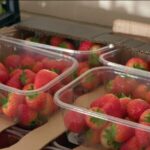 Rising Energy Costs Force UK's Poorest to Choose Between Heat and Food video poster