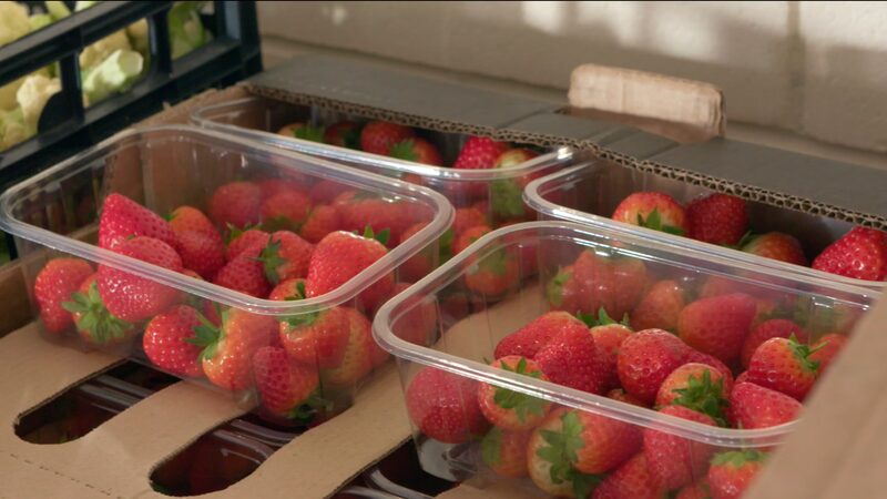 Rising Energy Costs Force UK's Poorest to Choose Between Heat and Food video poster