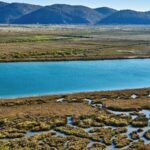 Rising Temperatures Threaten Migratory Birds in Albania's Vain Lagoon