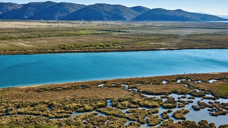 Rising_Temperatures_Threaten_Migratory_Birds_in_Albanias_Vain_Lagoon - Khabar Asia Rising Temperatures Threaten Migratory Birds in Albania's Vain Lagoon