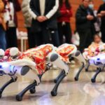 Robot_Dogs_Perform_Lion_Dance_at_Beijing_s_National_Museum_to_Celebrate_Chinese_New_Year