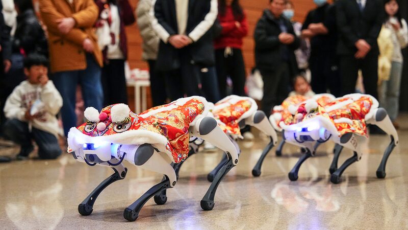 Robot_Dogs_Perform_Lion_Dance_at_Beijing_s_National_Museum_to_Celebrate_Chinese_New_Year - Khabar Asia Robot_Dogs_Perform_Lion_Dance_at_Beijing_s_National_Museum_to_Celebrate_Chinese_New_Year