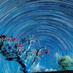 Romantic Blossoms: Azalea Bloom and Starry Nights Illuminate Shizhu Village