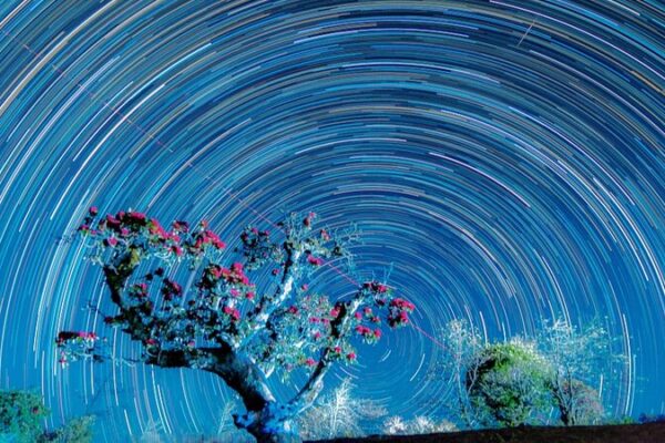 Romantic Blossoms: Azalea Bloom and Starry Nights Illuminate Shizhu Village Romantic Blossoms: Azalea Bloom and Starry Nights Illuminate Shizhu Village