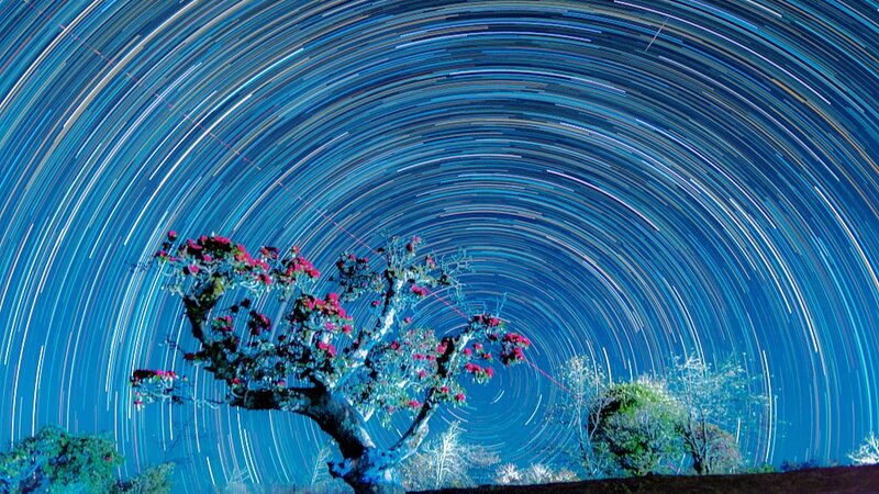 Romantic_Blossoms_Azalea_Bloom_and_Starry_Nights_Illuminate_Shizhu_Village - Khabar Asia Romantic Blossoms: Azalea Bloom and Starry Nights Illuminate Shizhu Village