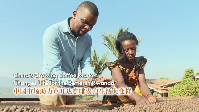 Rwandan_Coffee_Farmer_Brews_Success_in_China_s_Growing_Market_poster - Khabar Asia Rwandan_Coffee_Farmer_Brews_Success_in_China_s_Growing_Market video poster