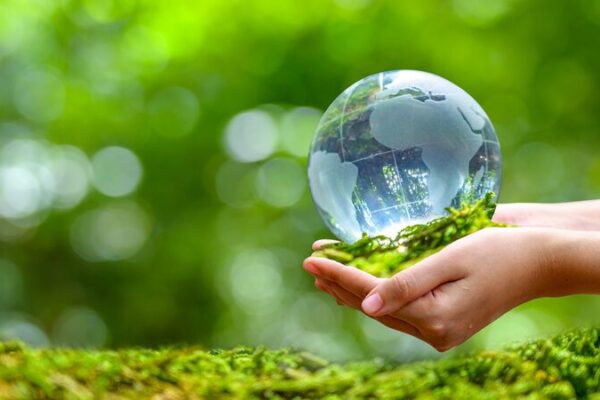 SCO Members Embrace Proposal for 2025 Year of Sustainable Development