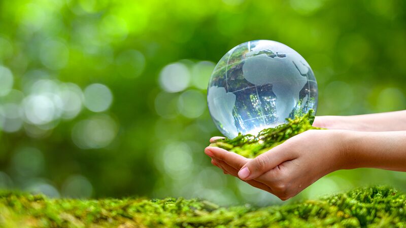 SCO Members Embrace Proposal for 2025 Year of Sustainable Development