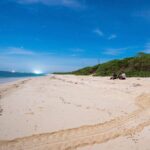 Sansha_City_Leads_Marine_Conservation_Efforts_in_China_s_Southern_Seas video poster