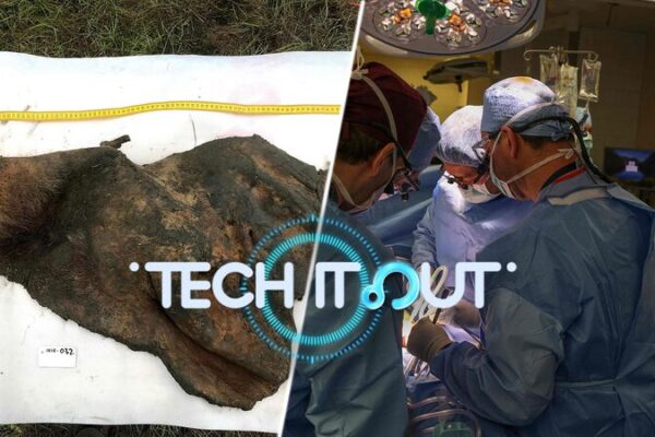 Science Saturday: Mammoth Genome Mapped, Black Hole Discovered, Pig Transplant Fails Science_Saturday__Mammoth_Genome_Mapped__Black_Hole_Discovered__Pig_Transplant_Fails video poster