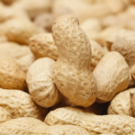 Scientists_Decode_Peanut_Evolution__Paving_Way_for_Improved_Breeding