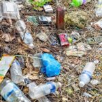 Scientists_Discover_Lesser_Mealworm_s_Potential_to_Combat_Plastic_Waste