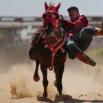 Scientists Trace Modern Horses' Origins to 4,000-Year-Old Eurasian Lineage