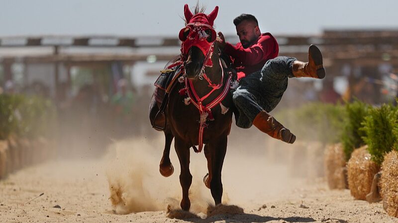 Scientists Trace Modern Horses' Origins to 4,000-Year-Old Eurasian Lineage
