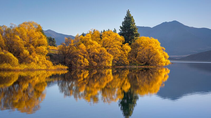 Scientists_Uncover_How_Forest_Canopy_Structure_Influences_Autumn_Phenology - Khabar Asia Scientists_Uncover_How_Forest_Canopy_Structure_Influences_Autumn_Phenology