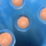 Scientists_Unveil_First_Blueprint_of_Human_Skeletal_Development_in_Cell_Atlas_Progress