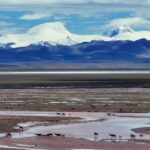 Second_Largest_Tibetan_Antelope_Breeding_Ground_Discovered_on_Qinghai_Xizang_Plateau